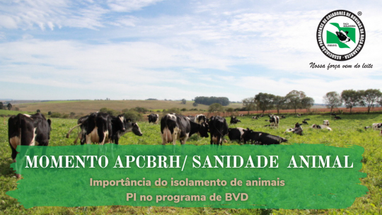 Sanidade Animal | Momento APCBRH 8