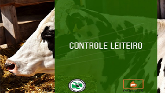 Destaques do Controle Leiteiro|05 Melhores Lactações e Vitalícias Mensais+50000.00 kg/leite