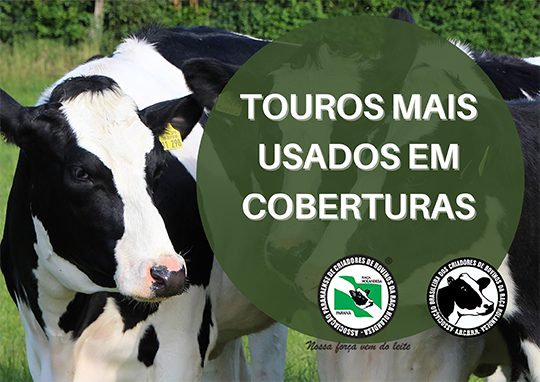 Touros mais usados em coberturas (IA) 2023