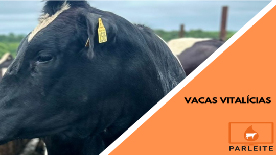Vacas Vitalícias