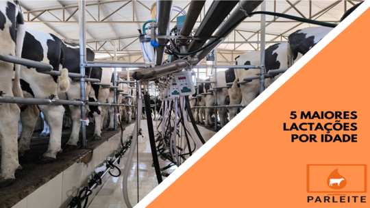 5 melhores lactações por idade